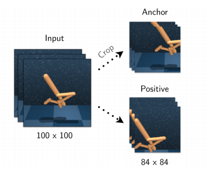 cropping augmentation